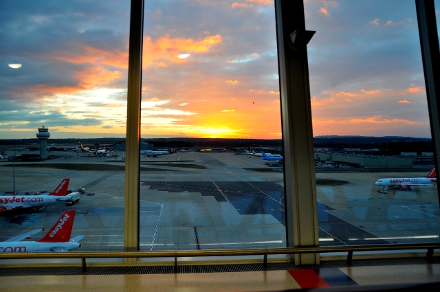 morocco, goats, medinas-100.jpg - MOROCCAN HOLIDAY - MARCH 2010 - AND YET ANOTHER SUNSET AT GATWICK